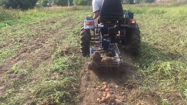 Модернизированная картофелекопалка в работе