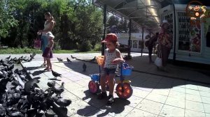 Ребенок играет с голубями / Children's games. Child playing with doves МанкитуИгры #  4