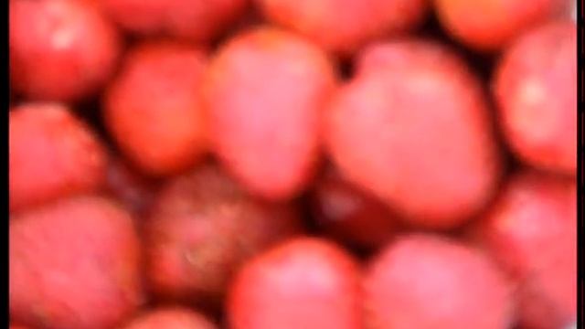 Приехали на шашлыки.На озере Праздник ! Ольша.Гнездово. смотреть онлайн