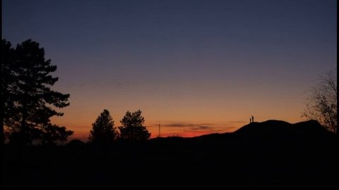 Цифры. Урок Литовского языка.