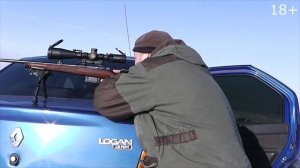 Охота на лис: пристрелка перед охотой. CZ-527, .223rem
