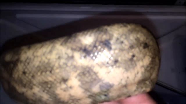 Распаковка императорского удава локалитета Хог смотреть онлайн