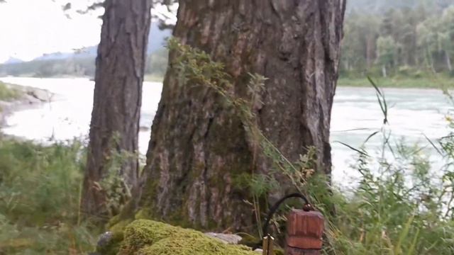 Варган Поткина Павла в футляре "Мудрец" | Подари Алтай смотреть онлайн