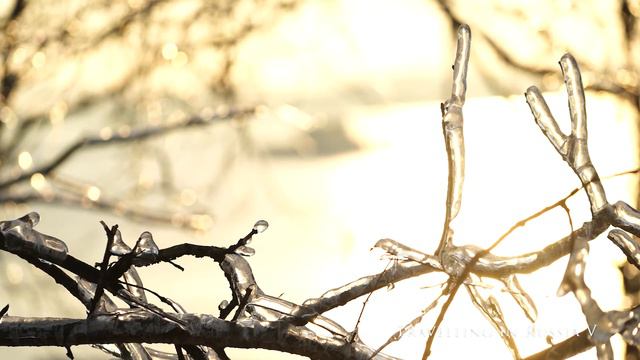 Красота природы после ледяного дождя смотреть онлайн