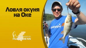 Ловля окуня на Оке