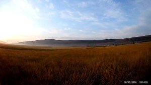 quail hunt in GEORGIA. охота на перепела