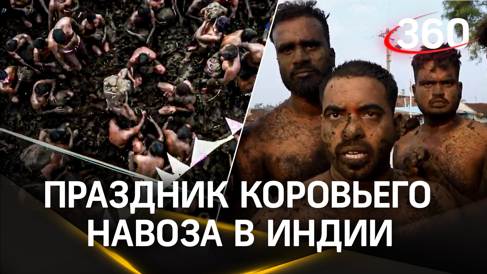 По уши в священном животном: кадры праздника коровьего навоза в Индии