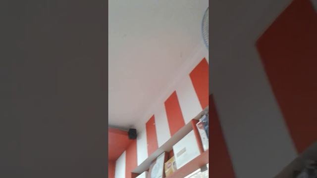 Lotus salon смотреть онлайн