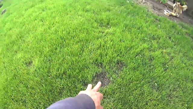 Газон своими руками (Часть 2) смотреть онлайн