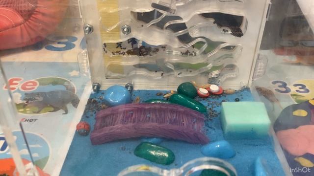 Как поживают мои муровъи смотреть онлайн