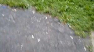 Охота на крышки *нашёл несколько новых*