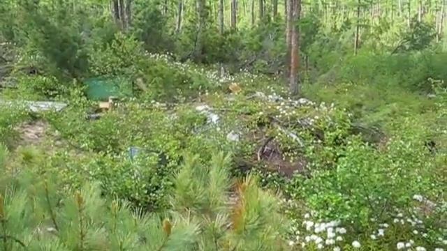 Лагерь участка Скалистый (хребет Геран) смотреть онлайн