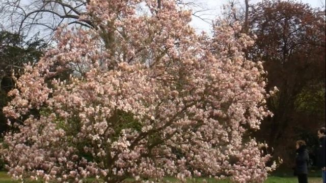 Le Château de la Malmaison смотреть онлайн