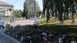 Цена на комбикорм в БИКОР