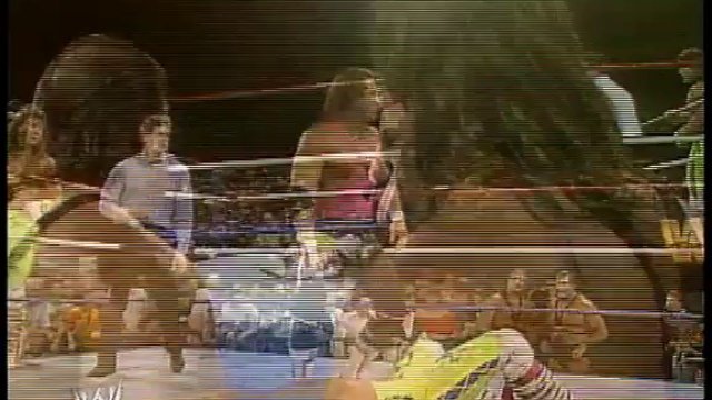 Hart Foundation vs. Rockers - SNME XXVI