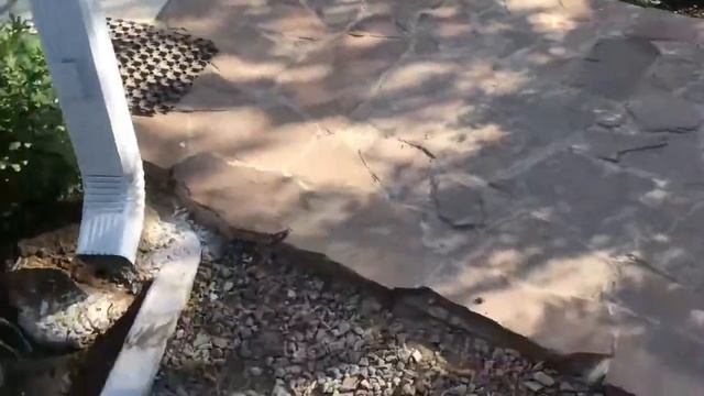 Играем с Тимошкой. Утро в саду смотреть онлайн