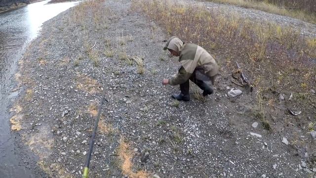 Осенняя охота на изюбря с собаками в Якутии. Ловим ленка на горной речке. смотреть онлайн