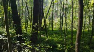 Древнее Зло