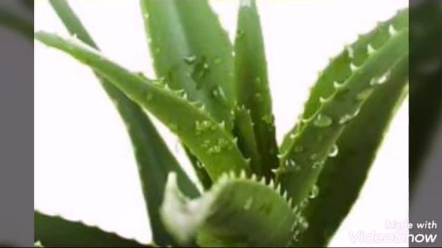 Маски для роста и густоты волос – готовим в домашних условиях. смотреть онлайн