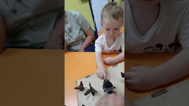 Кто как говорит. Домашние птицы. Развитие речи. Монтессори занятия.