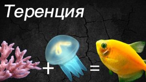 Теренция