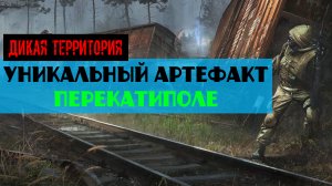 Золотой шар завершение OGSR Уникальный артефакт Перекатиполе Зачем нужен Осколок Осколки