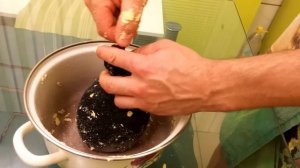 самый простой и быстрый способ приготовит мамалыгу для рыбалки на карпа и карася