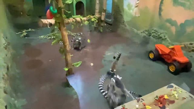 31 октября 2023 г. смотреть онлайн