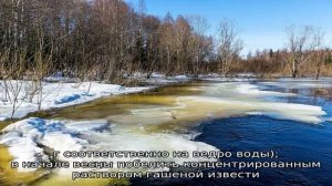 Абрикос не плодоносит много лет: почему и что делать?