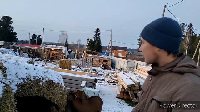 содержание коз зимой.