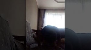 как делать кувырок назад и кувырок вперёд