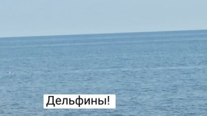 464. 1.  КРЫМ МОРЕ АЛУПКА Пляж Горное Солнце идем пешком! +79222185808 Жилье в Алупке! Ватцап вайбе
