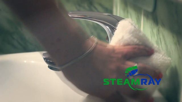 Пароочиститель STEAMRAY