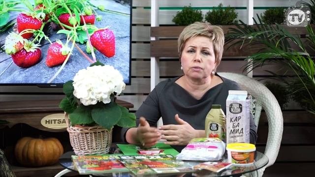 НЕ СЛАДКАЯ КЛУБНИЧКА ? 10 основных проблем клубники ?  ЧТО ДЕЛАТЬ СОВЕТЫ ОТ ХИТСАД ТВ