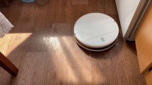 Робот пылесос xiaomi mi robot vacuum-mop essential MJSTG1