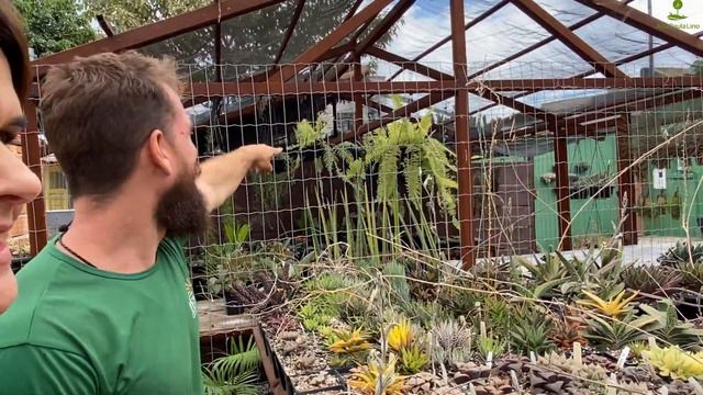 CACTOS E SUCULENTAS: Cactos e suculentas diferentes na visita ao cactário Guydo Horta смотреть онлайн