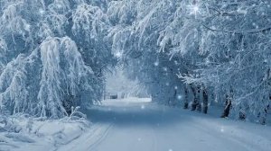 Зима - красивая, снежная, волшебная, чудесная .