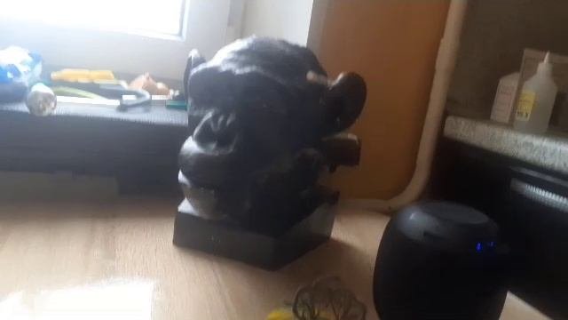 Евстигней