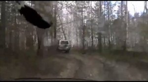 Весенняя охота в омской области 2019