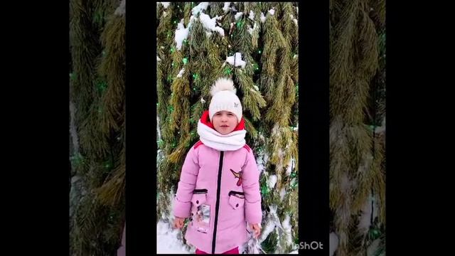 Константинова Василиса