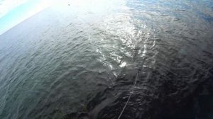 Ставрида на отводной.Саган на пилькера и попловок.Успешная рыбалка в безклевье.