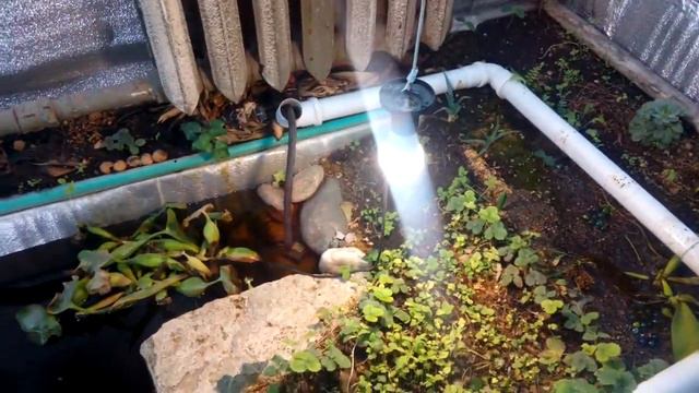 ПермаКультура pro Плодитесь и размножайтесь :) смотреть онлайн