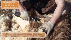 Машинка Стрижаль ЖЕСТКИЙ ТЕСТ стрижем грязную овцу машинкой СТРИЖАЛЬ Лучшие машинки для стрижки ове
