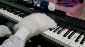 [Fursuit Piano] Undertale - His Theme cover by Fiki