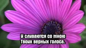 Псалмы Сиона - В день субботнего покоя