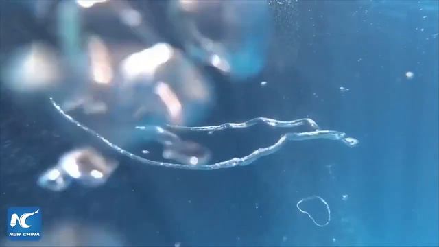 Встреча двух пузырьков воздуха под водой смотреть онлайн