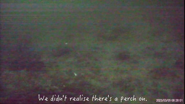 Daniel's first ice fishing in Canada, Jumbo Perch, Lake Simcoe. Super Winter Fun Outdoor. смотреть онлайн