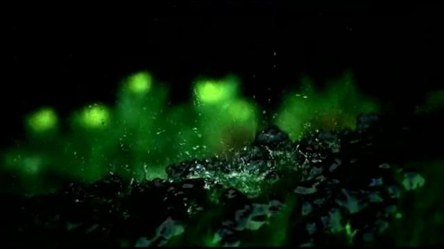 Влияние человечества на эко-системы планеты смотреть онлайн