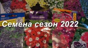 Семена цветов сезон 2022