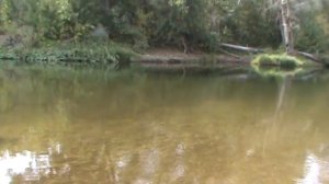 Урал обмелел, 2 моста под Новотроицком